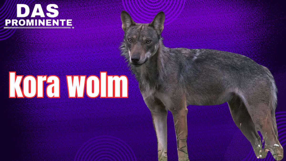 kora wolm